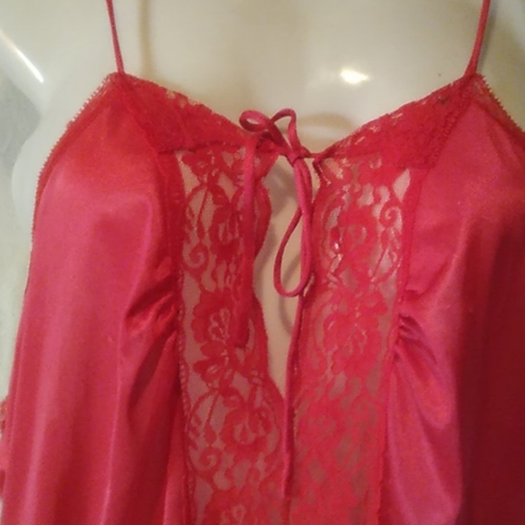 Teddy - Picture 2 of 8